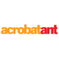 AcrobatAnt