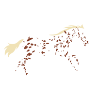 appaloosa-marketing.png