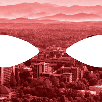 asheville-seo-ninja.png