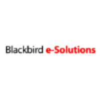 Blackbird e-Solutions LLC