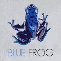 Blue Frog Marketing