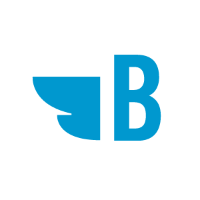 Bluebird Branding