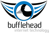 Bufflehead Internet Technology