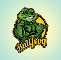 bullfrog-digital-marketing-agency-seo-company.jpg