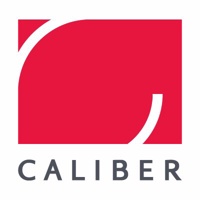 The Caliber Group