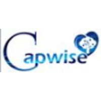 Capwise Digital Media