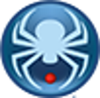 Clever Spider Consulting Group