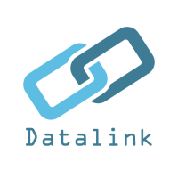 datalink-seo.png