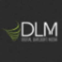 Digital Limelight Media