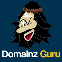 domainzguru.png