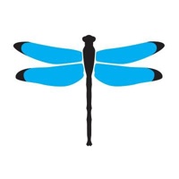 Dragonfly Digital Marketing