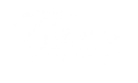 Flair For Writing