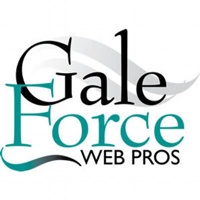 Gale Force Web Pros