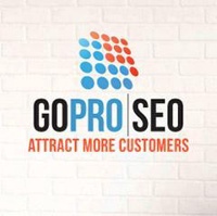 Go Pro SEO