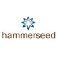 Hammerseed