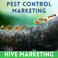 hive-marketing.png