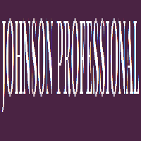 JOHNSON PROFESSIONAL SOLUTIONS