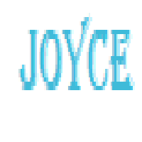 Joyce Computer Software