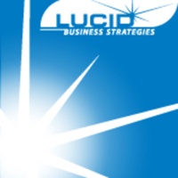 Lucid Business Strategies