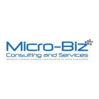 Micro-Biz Consulting & Services