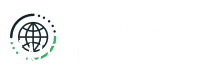 mj-web-design.png