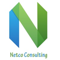 netco-consulting.jpg