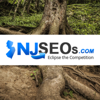 njseos-website-design-seo-ppc-agency.png