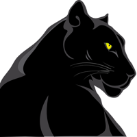 Panther Digital Marketing