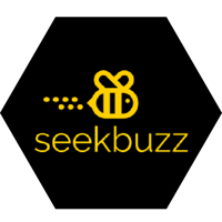 SeekBuzz Digital Marketing