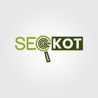 seo-kot.jpg