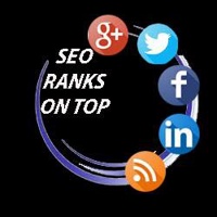 seo-ranks-top.jpg