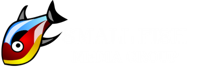 Small Fish Media