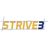 STRIVE3