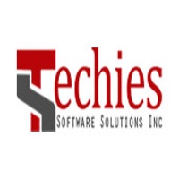 Techies Software Solution Inc