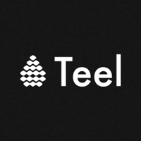 Teel Group
