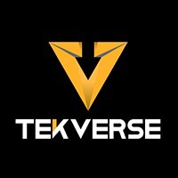 tekverse-digital.jpg