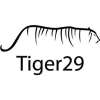 Tiger29