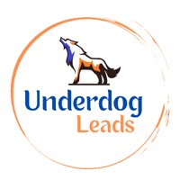 underdog-leads.jpg