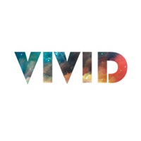 Vivid Insights & Marketing