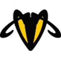 WebHornet