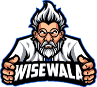 WiseWala Web Design