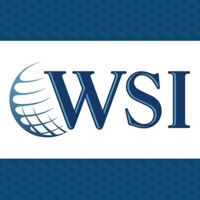 WSI Digital Experts