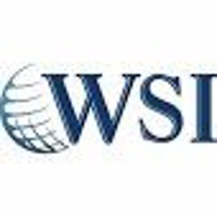 WSI – MaxNet Solutions Inc.