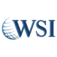 WSI Peak Digital Strategy